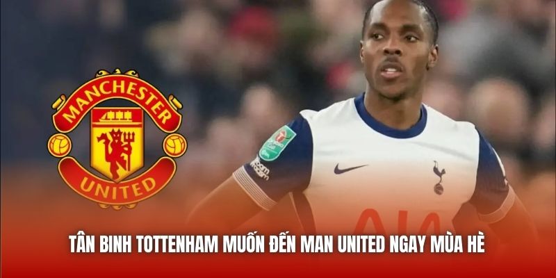 Tân Binh Tottenham Muốn Đến Man United Ngay Mùa Hè 2025